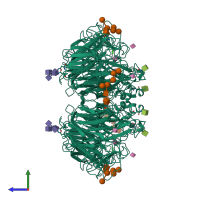 Homo tetrameric assembly 1 of PDB entry 2qwb coloured by chemically distinct molecules, side view.