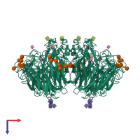 Homo tetrameric assembly 1 of PDB entry 2qwb coloured by chemically distinct molecules, top view.
