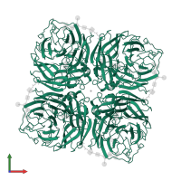 Neuraminidase in PDB entry 2qwb, assembly 1, front view.