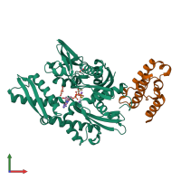 PDB entry 2qwo coloured by chain, front view.