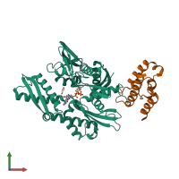 PDB entry 2qwq coloured by chain, front view.