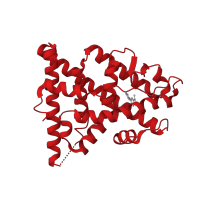 The deposited structure of PDB entry 2qxm contains 2 copies of CATH domain 1.10.565.10 (Retinoid X Receptor) in Estrogen receptor. Showing 1 copy in chain B.