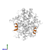 Nuclear receptor coactivator 2 in PDB entry 2qxm, assembly 1, side view.