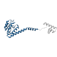 The deposited structure of PDB entry 2r0q contains 4 copies of CATH domain 3.40.50.1390 (Rossmann fold) in Putative transposon Tn552 DNA-invertase bin3. Showing 1 copy in chain E [auth C].