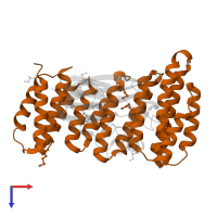 Vacuolar protein sorting-associated protein 35 in PDB entry 2r17, assembly 2, top view.