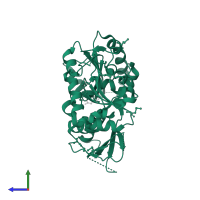 Endoplasmic reticulum resident protein 44 in PDB entry 2r2j, assembly 1, side view.