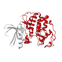 The deposited structure of PDB entry 2r3o contains 1 copy of CATH domain 1.10.510.10 (Transferase(Phosphotransferase); domain 1) in Cyclin-dependent kinase 2. Showing 1 copy in chain A.