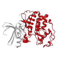 The deposited structure of PDB entry 2r3p contains 1 copy of CATH domain 1.10.510.10 (Transferase(Phosphotransferase); domain 1) in Cyclin-dependent kinase 2. Showing 1 copy in chain A.