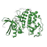 The deposited structure of PDB entry 2r3p contains 1 copy of Pfam domain PF00069 (Protein kinase domain) in Cyclin-dependent kinase 2. Showing 1 copy in chain A.