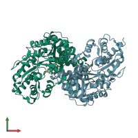 PDB entry 2r5e coloured by chain, front view.