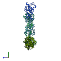 PDB entry 2r5u coloured by chain, side view.