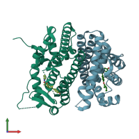 PDB entry 2r6y coloured by chain, front view.