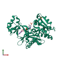 PDB entry 2r7l coloured by chain, front view.