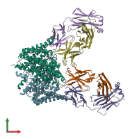 PDB entry 2r9h coloured by chain, front view.