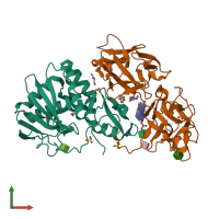 PDB entry 2r9k coloured by chain, front view.