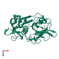 Cathepsin S in PDB entry 2r9n, assembly 1, top view.