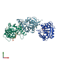 PDB entry 2raf coloured by chain, front view.