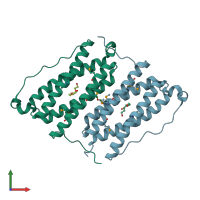 PDB entry 2rbd coloured by chain, front view.