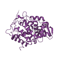 The deposited structure of PDB entry 2rc1 contains 1 copy of SCOP domain 48114 (CCP-like) in Cytochrome c peroxidase, mitochondrial. Showing 1 copy in chain A [auth X].