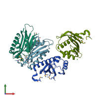 PDB entry 2rcd coloured by chain, front view.