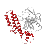 The deposited structure of PDB entry 2rcw contains 1 copy of CATH domain 1.20.142.10 (Poly(ADP-ribose) Polymerase; domain 1) in Poly [ADP-ribose] polymerase 1, processed C-terminus. Showing 1 copy in chain A.