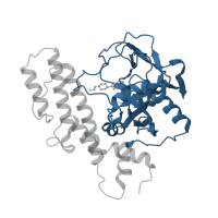 The deposited structure of PDB entry 2rcw contains 1 copy of CATH domain 3.90.228.10 (Phosphoenolpyruvate Carboxykinase; domain 3) in Poly [ADP-ribose] polymerase 1, processed C-terminus. Showing 1 copy in chain A.