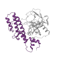 The deposited structure of PDB entry 2rcw contains 1 copy of Pfam domain PF02877 (Poly(ADP-ribose) polymerase, regulatory domain) in Poly [ADP-ribose] polymerase 1, processed C-terminus. Showing 1 copy in chain A.
