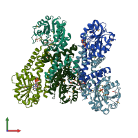 PDB entry 2rcy coloured by chain, front view.