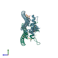 PDB entry 2rdc coloured by chain, side view.