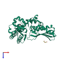 PDB entry 2rdi coloured by chain, top view.