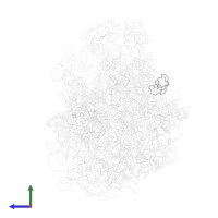 Large ribosomal subunit protein uL30 in PDB entry 2rdo, assembly 1, side view.