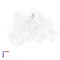 Large ribosomal subunit protein uL30 in PDB entry 2rdo, assembly 1, top view.
