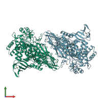 PDB entry 2rdy coloured by chain, front view.