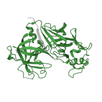 The deposited structure of PDB entry 2ren contains 1 copy of Pfam domain PF00026 (Eukaryotic aspartyl protease) in Renin. Showing 1 copy in chain A.