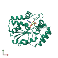 PDB entry 2reo coloured by chain, front view.