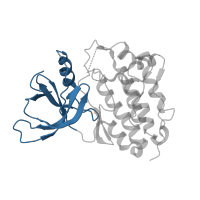 The deposited structure of PDB entry 2rf9 contains 2 copies of CATH domain 3.30.200.20 (Phosphorylase Kinase; domain 1) in Epidermal growth factor receptor. Showing 1 copy in chain A.