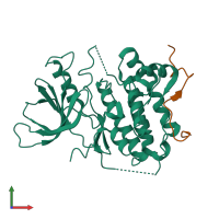 Hetero dimeric assembly 1 of PDB entry 2rfe coloured by chemically distinct molecules, front view.