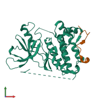 Hetero dimeric assembly 2 of PDB entry 2rfe coloured by chemically distinct molecules, front view.