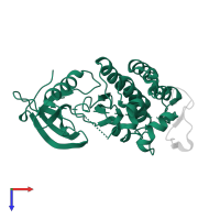 Epidermal growth factor receptor in PDB entry 2rfe, assembly 2, top view.