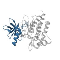 The deposited structure of PDB entry 2rfs contains 1 copy of CATH domain 3.30.200.20 (Phosphorylase Kinase; domain 1) in Hepatocyte growth factor receptor. Showing 1 copy in chain A.