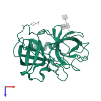 Neutrophil elastase in PDB entry 2rg3, assembly 1, top view.