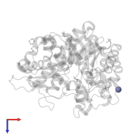 ZINC ION in PDB entry 2rgl, assembly 1, top view.