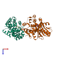 PDB entry 2rhg coloured by chain, top view.