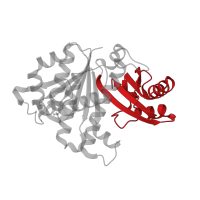 The deposited structure of PDB entry 2rhh contains 1 copy of CATH domain 3.30.1330.20 (60s Ribosomal Protein L30; Chain: A;) in Cell division protein FtsZ. Showing 1 copy in chain A.