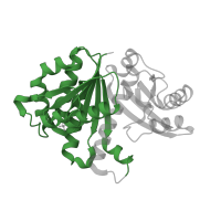 The deposited structure of PDB entry 2rhh contains 1 copy of Pfam domain PF00091 (Tubulin/FtsZ family, GTPase domain) in Cell division protein FtsZ. Showing 1 copy in chain A.