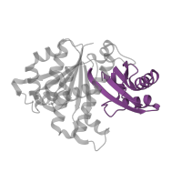 The deposited structure of PDB entry 2rhh contains 1 copy of Pfam domain PF12327 (FtsZ family, C-terminal domain) in Cell division protein FtsZ. Showing 1 copy in chain A.