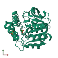 PDB entry 2ri6 coloured by chain, front view.