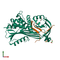PDB entry 2riv coloured by chain, front view.