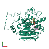 PDB entry 2rj1 coloured by chain, front view.