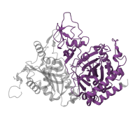 The deposited structure of PDB entry 2rk8 contains 2 copies of Pfam domain PF00821 (Phosphoenolpyruvate carboxykinase C-terminal P-loop domain) in Phosphoenolpyruvate carboxykinase, cytosolic [GTP]. Showing 1 copy in chain A.